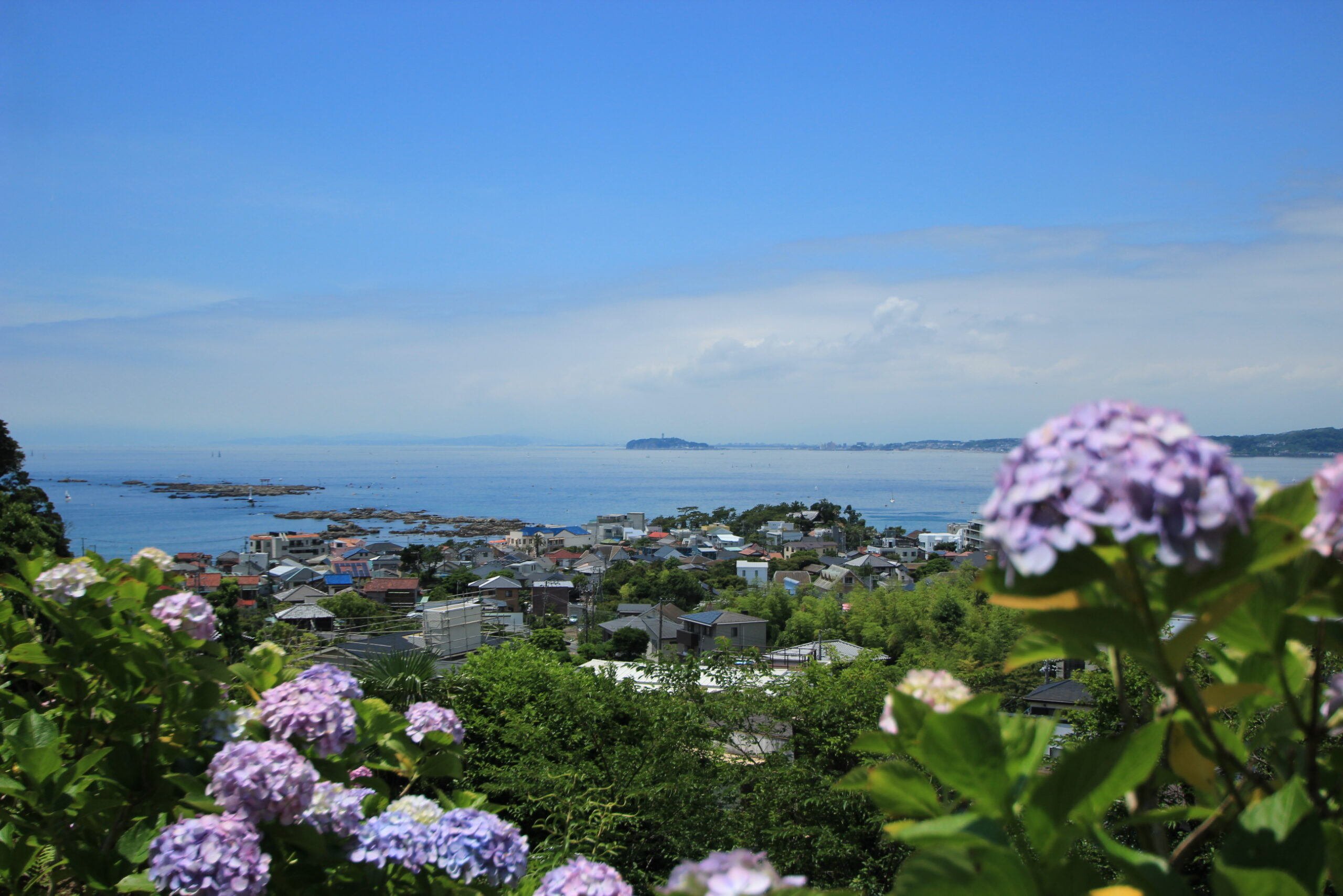 葉山の取り組み